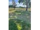 Well-maintained backyard features green grass, tall trees, and a sleek black fence with a view of a pond at 113 Walton Heath Dr, Orlando, FL 32828