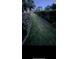 Grassy side yard with fence and privacy hedge at 113 Walton Heath Dr, Orlando, FL 32828