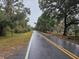 Paved road lined with trees on either side at 112 Jasper St, Bushnell, FL 33513