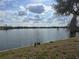 Scenic view of the pond featuring a lush green landscape and a tranquil body of water, perfect for relaxation at 2157 Geneva Dr, Lakeland, FL 33805