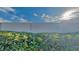 Landscaped backyard with lush greenery at 3537 Raleigh Dr, Winter Haven, FL 33884