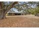 House with a large oak tree in the front yard at 2028 Marker Rd, Polk City, FL 33868