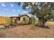 Spacious backyard with shed and large tree at 2028 Marker Rd, Polk City, FL 33868