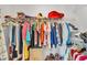 Organized closet with clothing hanging on rods at 4064 River Crest Cir, Leesburg, FL 34748