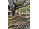 Large lawn area with a mature oak tree providing shade at 190 Post Way, Casselberry, FL 32707