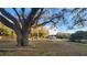 Large oak trees and grassy area near the property at 3720 Willis Rd, Mulberry, FL 33860