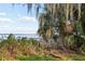 Overgrown dock overlooking the lake under a vibrant, sunny sky at 8309 W Lake Marion Rd, Haines City, FL 33844