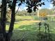 View of the backyard showing landscaping and a glimpse of the community golf course at 417 Lake Butler Dr, Kissimmee, FL 34759