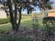 Backyard view features mature trees, landscaping and view of the golf course at 417 Lake Butler Dr, Kissimmee, FL 34759
