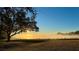 Scenic view of a sunrise over a misty field with a large tree silhouetted in the foreground at 4101 Poinciana Dr, Indian Lake Estates, FL 33855