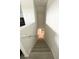 Staircase with carpeted steps and bright walls at 648 Bloom Ter, Davenport, FL 33836