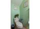Green water closet bathroom with toilet, eye chart picture, and toilet paper roll at 12313 Citruswood Dr, Orlando, FL 32832