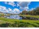 Scenic view of a tranquil community pond reflecting blue skies and trees at 12313 Citruswood Dr, Orlando, FL 32832
