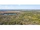Expansive wooded landscape with pond at 4323 Trotters Way, Lakeland, FL 33801
