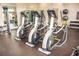 Gym featuring modern elliptical machines, creating a fitness-oriented space for residents to achieve their workout goals at 469 Liu Ln, Deland, FL 32724