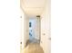 Hallway features white walls and doors, plus wood-look floors at 2001 Cricket Dr, Orlando, FL 32808