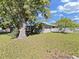 A view of the shady backyard at 917 E Valencia St, Lakeland, FL 33805
