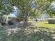 View of a large tree in the backyard at 917 E Valencia St, Lakeland, FL 33805
