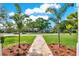 Charming home with a stone walkway, lush green lawn, and mature palm trees at 17416 Magnolia Island Blvd, Clermont, FL 34711