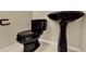 Striking powder room featuring a unique black toilet and pedestal sink, adding a bold and modern touch at 17416 Magnolia Island Blvd, Clermont, FL 34711