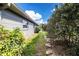 Backyard features a narrow grassy walkway along the side of the gray-painted home exterior with stepping stones at 4739 Tierra Alta Ct, Lakeland, FL 33813