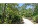 A winding concrete path surrounded by lush greenery and trees at 9533 Passaic Pkwy, Orlando, FL 32829