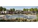 A view of the community pool with palm trees, flowers and plenty of space for lounge chairs at 5680 Vinyasa Rd, Clermont, FL 34714