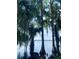 Scenic waterfront view featuring palm trees and trees draped with Spanish moss, reflected in the calm water at 24645 Ne 177Th Ter, Fort Mc Coy, FL 32134