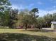 Expansive grassy yard featuring mature trees, including Spanish moss, and vibrant azalea bushes at 24645 Ne 177Th Ter, Fort Mc Coy, FL 32134