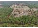 Overhead view of the property nestled within a dense forest, balancing seclusion with convenient access to roadways at 15675 Sw 33Rd St, Ocala, FL 34481