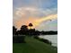 Scenic sunset view of a lake with birds and a palm tree, showcasing a serene environment at 700 Mirror Nw Ter # 505, Winter Haven, FL 33881
