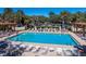 Resort-style community pool surrounded by sun loungers, palm trees, and well-maintained landscaping at 2009 Salinas Ave, The Villages, FL 32159