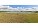 A calming view of the pond overlooking a grassy field with a few young trees and community homes in the distance at 2122 Rosewood Dr, Bartow, FL 33830