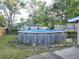 Backyard with an above-ground swimming pool, storage shed, and some greenery at 663 Hager St, Deltona, FL 32725