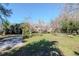 Large grassy backyard featuring mature trees and a concrete driveway, perfect for outdoor entertaining at 211 W Valencia St, Lakeland, FL 33805