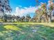 Expansive backyard with lush grass and mature palm trees, perfect for outdoor enjoyment at 305 Bearcreek Dr, Bartow, FL 33830