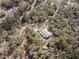 Aerial view of the house and surrounding dense, mature trees, providing a secluded and peaceful setting at 12308 Se 112Th Avenue Rd, Belleview, FL 34420