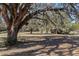 Land under mature trees, with spanish moss and a partially sunny sky at 12308 Se 112Th Avenue Rd, Belleview, FL 34420