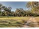 Beautiful homesite with mature trees, ample sunlight, and a charming country road leading to the property at 12308 Se 112Th Avenue Rd, Belleview, FL 34420