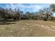 Grassy land with large trees under a bright blue sky at 12308 Se 112Th Avenue Rd, Belleview, FL 34420