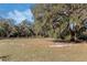 Wide shot of grassy land with mature trees at 12308 Se 112Th Avenue Rd, Belleview, FL 34420