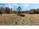 Scenic view of spacious land with natural foliage and blue skies at 12308 Se 112Th Avenue Rd, Belleview, FL 34420