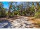 Gorgeous land featuring large mature trees with a canopy over a peaceful setting at 12308 Se 112Th Avenue Rd, Belleview, FL 34420