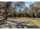 A view of the land, surrounded by mature trees at 12308 Se 112Th Avenue Rd, Belleview, FL 34420