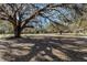 Land under mature trees, with spanish moss and a partially sunny sky at 12308 Se 112Th Avenue Rd, Belleview, FL 34420