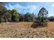 Expansive lot with trees, natural foliage and blue skies at 12308 Se 112Th Avenue Rd, Belleview, FL 34420