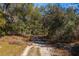 A long dirt path leads to treelined property on a clear day at 12308 Se 112Th Avenue Rd, Belleview, FL 34420