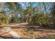 Open area property with treeline, natural light, and sandy ground at 12308 Se 112Th Avenue Rd, Belleview, FL 34420