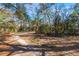 Open area property with treeline, and natural light on a clear day at 12308 Se 112Th Avenue Rd, Belleview, FL 34420