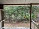 View from the back porch shows lush vegetation, offering a private and serene setting at 24605 Ne 177Th Ter, Fort Mc Coy, FL 32134